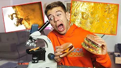 Undersøger McDonalds mad i Mikroskop