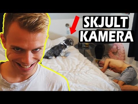 SKJULT KAMERA PÅ BUBBI