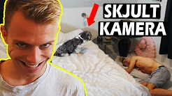 SKJULT KAMERA PÅ BUBBI