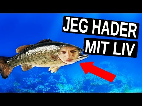 HVIS JEG VAR EN FISK!