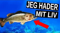 HVIS JEG VAR EN FISK!