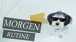 MIN HUNDS MORGEN RUTINE