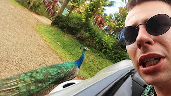 JEG ER MUNDLAM! *HAWAII ROADTRIP*