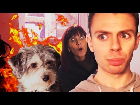 BABYSITTER MIN HUND #2