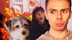 BABYSITTER MIN HUND #2