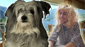 MIN HUND OG BLONDINER?