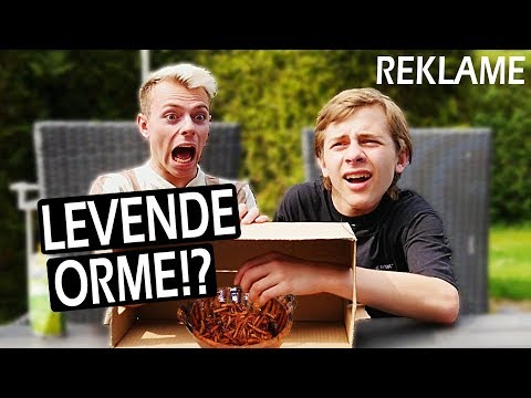 ''HVAD ER DER I KASSEN?!'' CHALLENGE #SUNLOLLYTAGTEAM