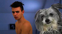 SOVER MED MIN HUND | 2