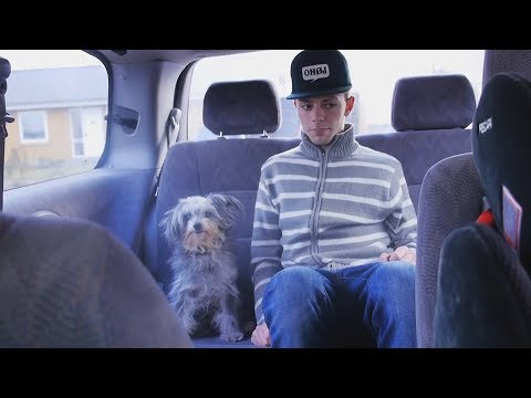 DENGANG JEG KØBTE MIN HUND