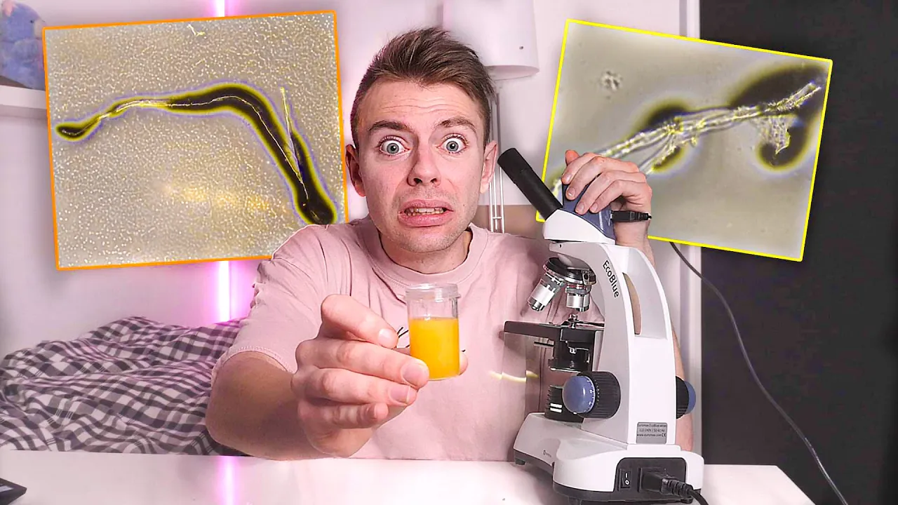 Undersøger mit tis i Mikroskop