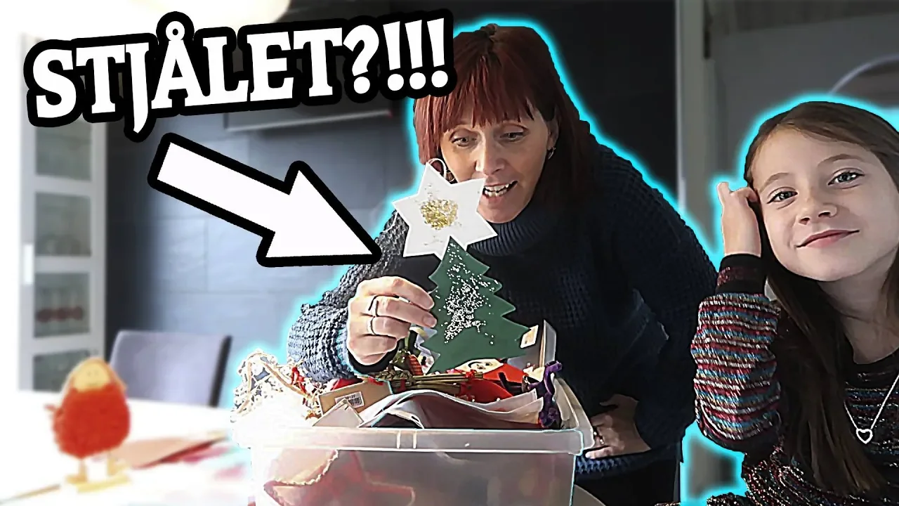 NAJA HAR STJÅLET JULEPYNT FRA SKOLEN!