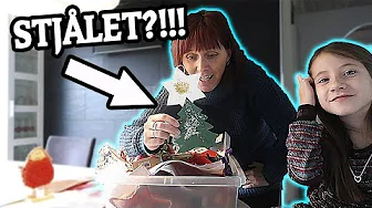NAJA HAR STJÅLET JULEPYNT FRA SKOLEN!