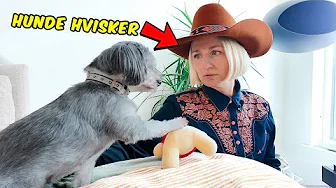 Vi fik en Tankelæser hjem til Mini!