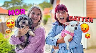 Mini ser sin hvalp efter 3 år!