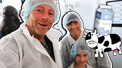 FAMILIEN UDFORSKER MÆLK OG LANDBRUG