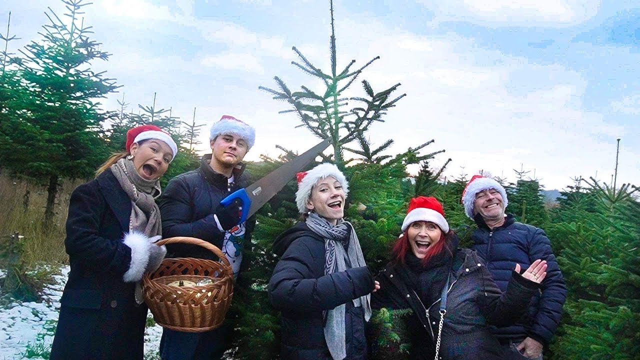 Vi går efter det største juletræ! Jule Vlog!