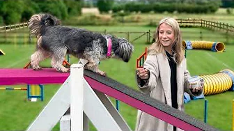 Hvor godt kan Mini klare en forhindringsbane?