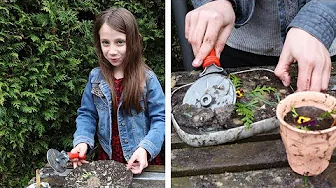 NAJA LAVER MUDDER KAGER