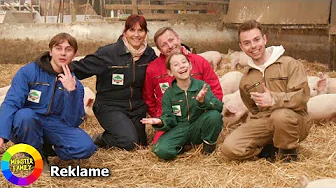 Familien i vild dyst mellem griseunger og grisemøj!