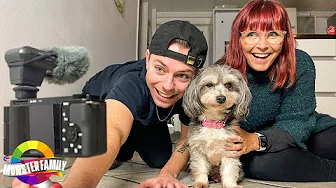 Når Morten kommer hjem..