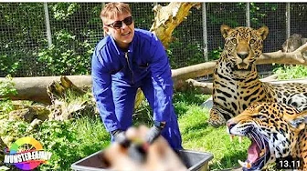 Du skal arbejde i Zoo! /Overrasker Max!