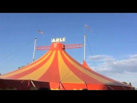 Baby's second time to the cirque