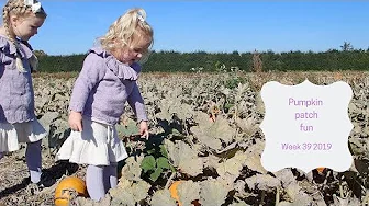 Pumpkin Patch Fun