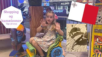 Finder KAMÆLEONER ved vores hus efter SHOPPING på Malta