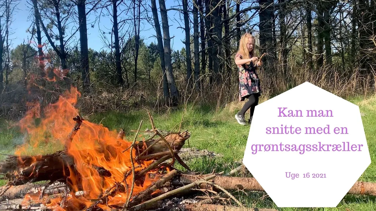 VI LAVER BÅL - SNITTER MED GRØNTSAGSSKRÆLLER