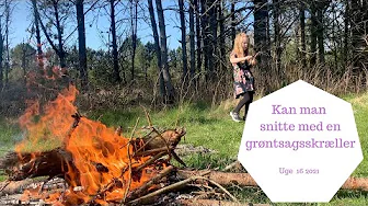 VI LAVER BÅL - SNITTER MED GRØNTSAGSSKRÆLLER