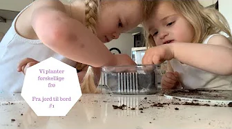 VI PLANTER FORSKELLIGE FRØ - FRA JORD TIL BORD #1