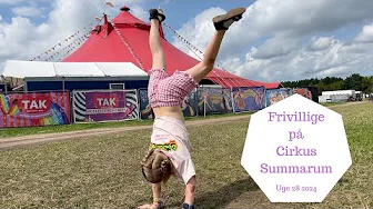 KOM MED PÅ ARBEJDE SOM FRIVILLIG I CIRKUS SUMMARUM - MOR OG TO BØRNS UGE I BØRNEKLUBBEN