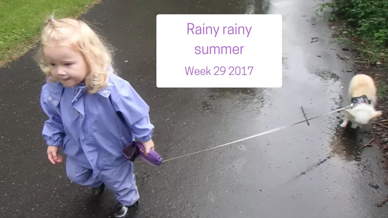 Rainy rainy summer