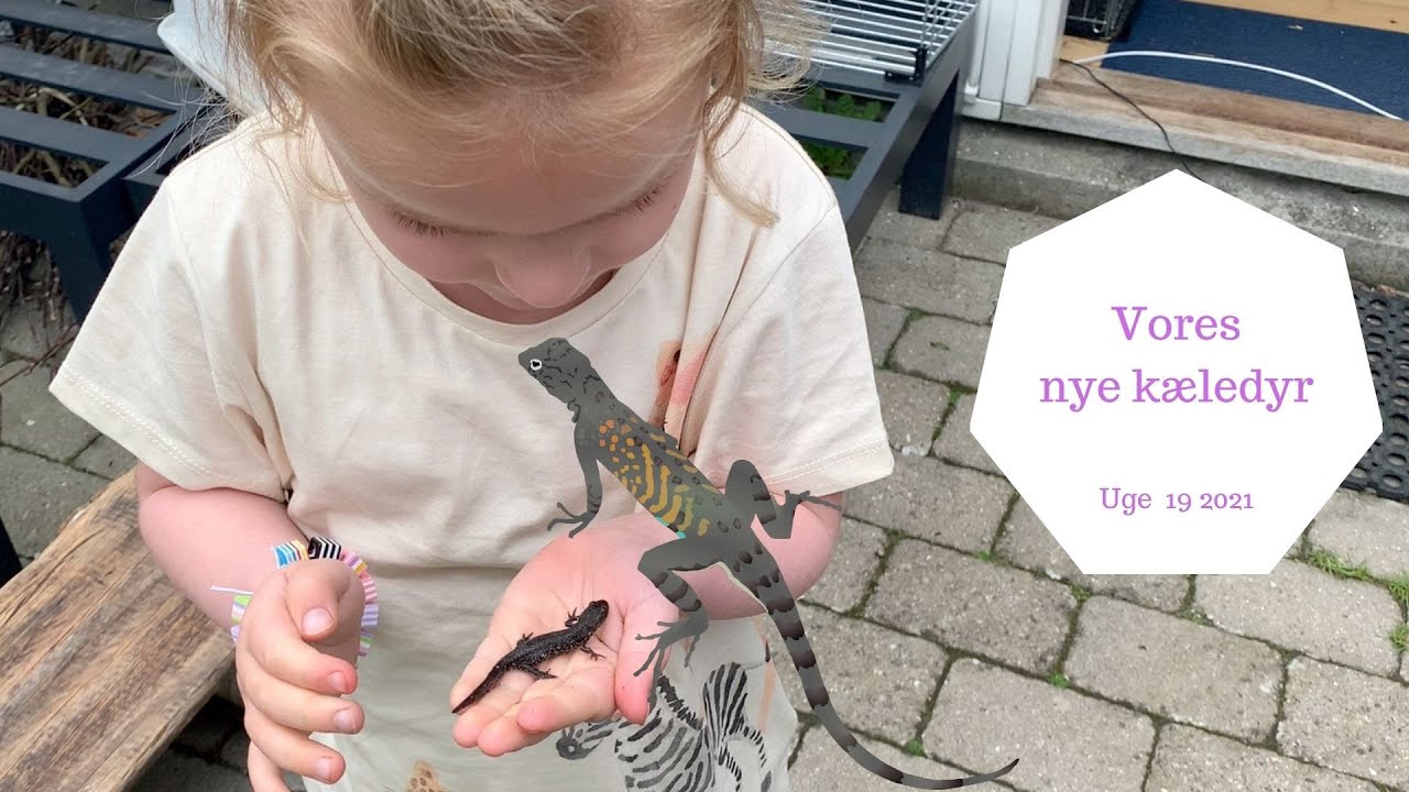 VI FINDER ET FIRBEN - KRISTI HIMMELFARTS HYGGE