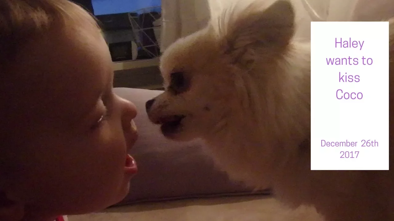 Haley wants to kiss Coco (Day 26 of our daily vlogmas 2017)