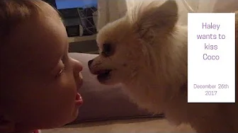 Haley wants to kiss Coco (Day 26 of our daily vlogmas 2017)