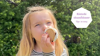 RISTEDE SKUMFIDUSER OG SNOBRØD I HAVEN