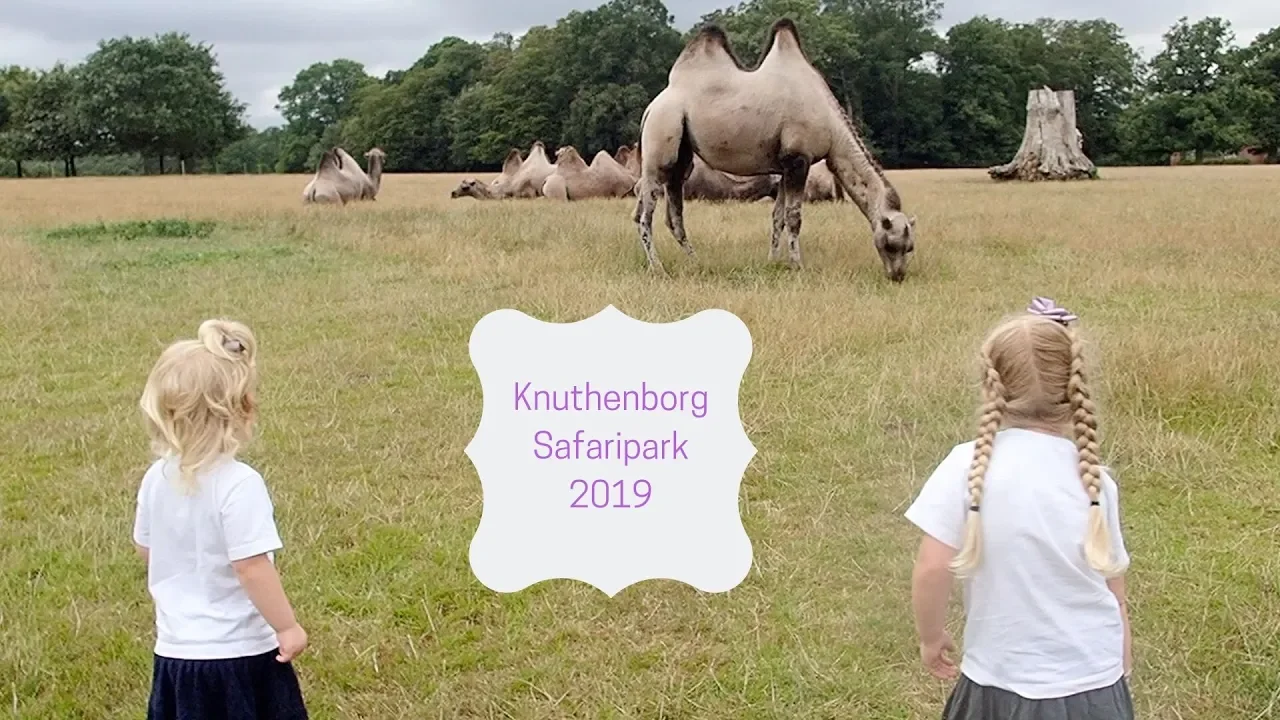 Knuthenborg Safari Park 2019