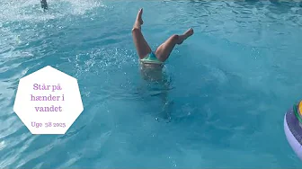 HALEY ØVER AT STÅ PÅ HÆNDER I VANDET - FODRE KATTENE