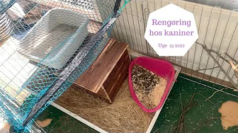 JEG GØR RENT HOS KANINERNE