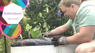 JEG GØR VORES KØKKENHAVE KLAR