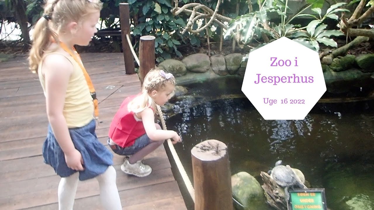 ZOO I JESPERHUS