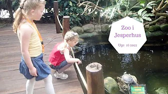 ZOO I JESPERHUS