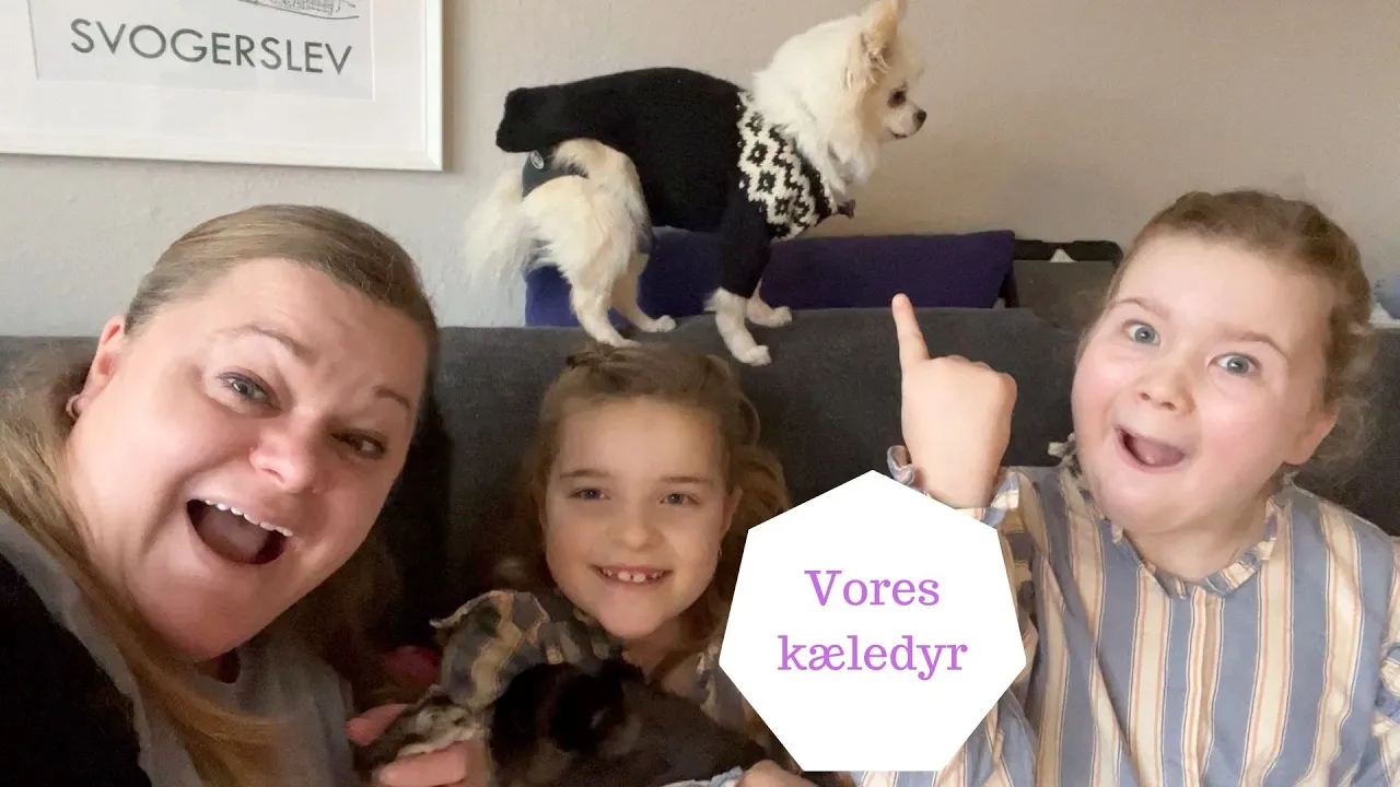 MØD alle Vores KÆLEDYR
