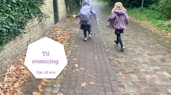 SVØMME TIRSDAG - MON HALEY VIL I VANDET