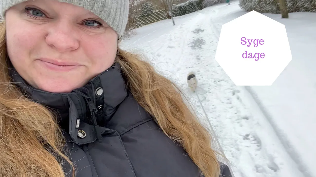 Pigerne er blevet syge - To dage i sygdomshulen