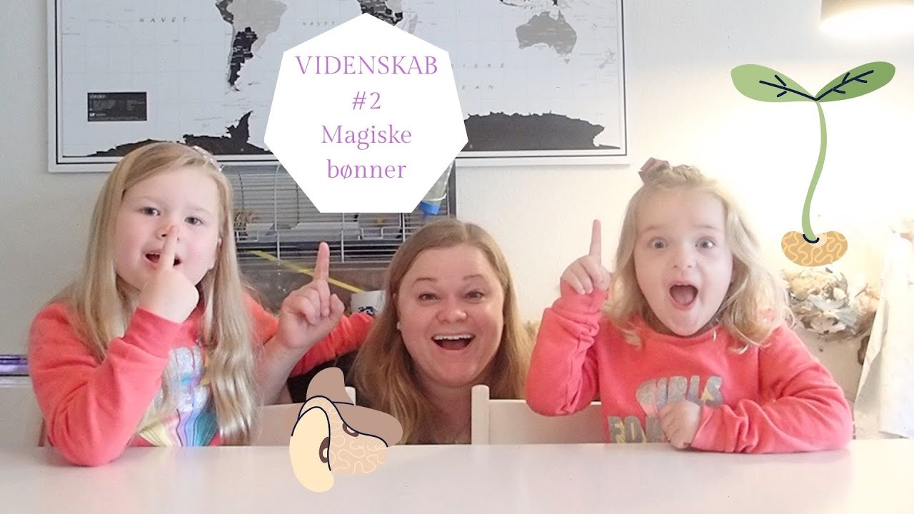 VIDENSKAB MAGISKE BØNNER #2