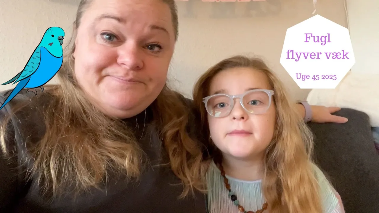 Vores lille FUGL flyver ud af Vinduet