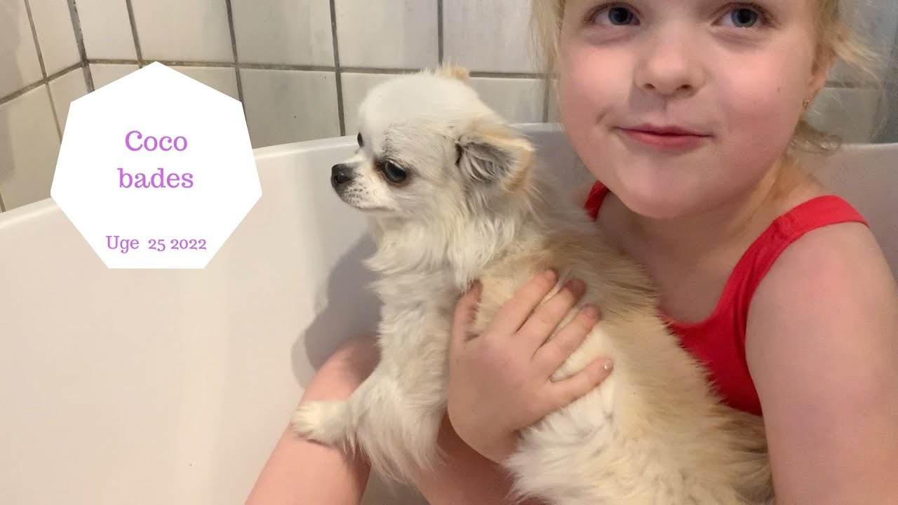 HALEY BADER COCO I BADEKARET