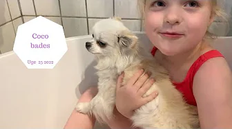 HALEY BADER COCO I BADEKARET